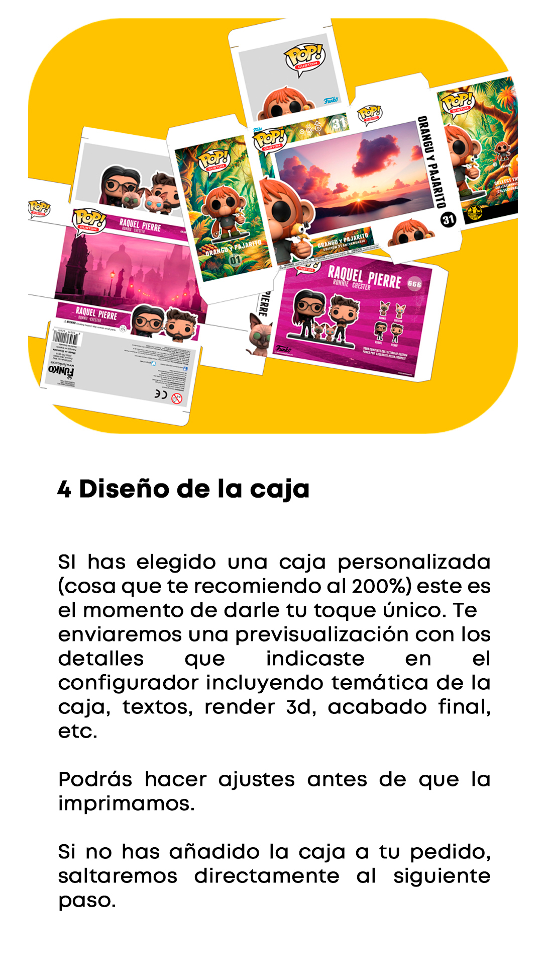 Proceso 4