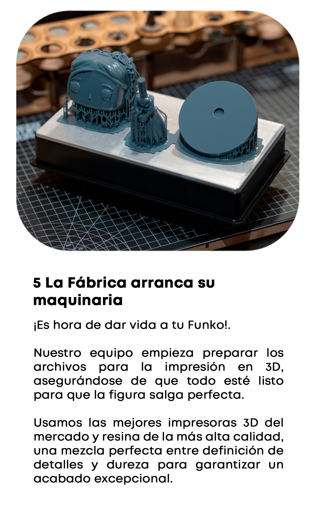 Proceso 5
