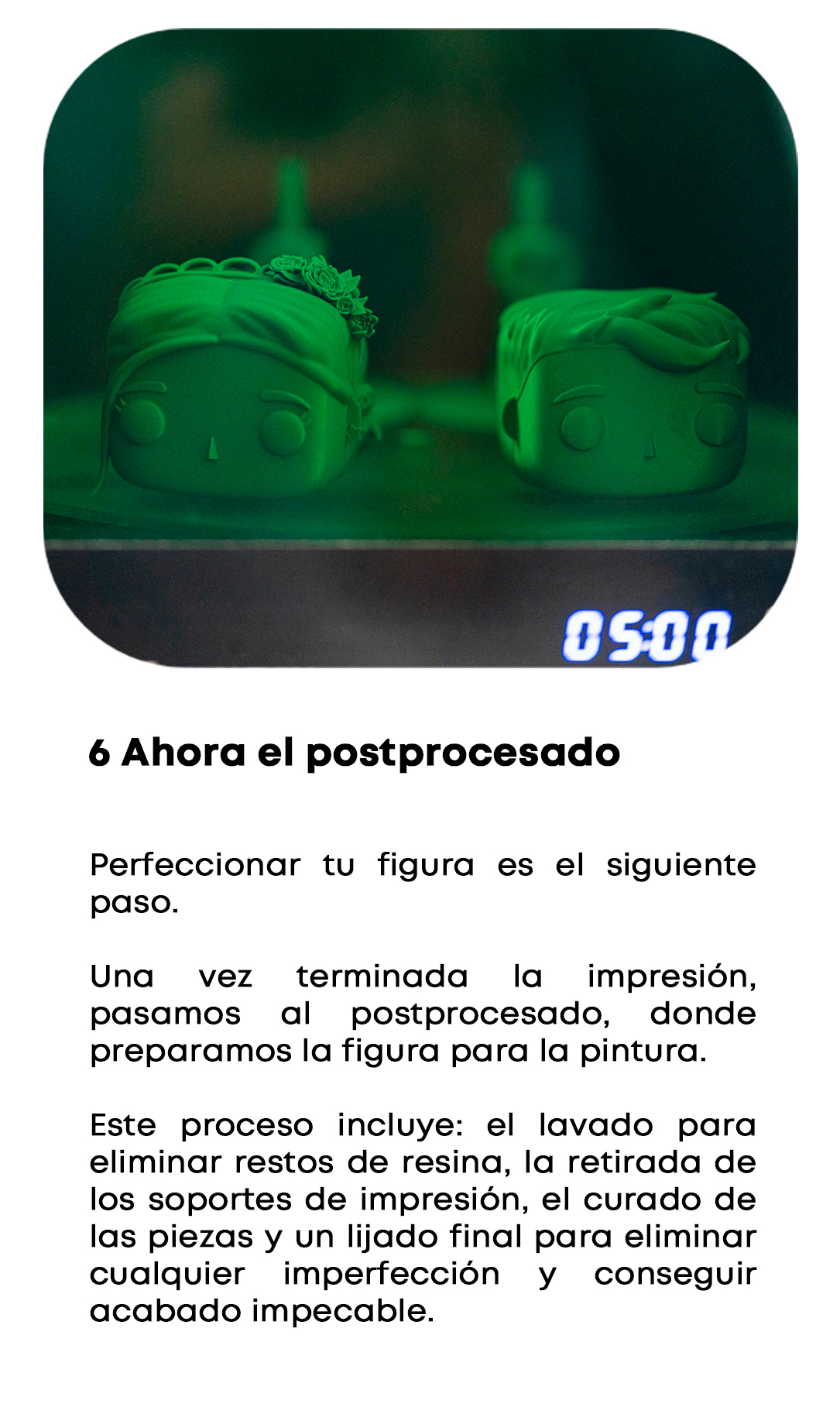 Proceso 6