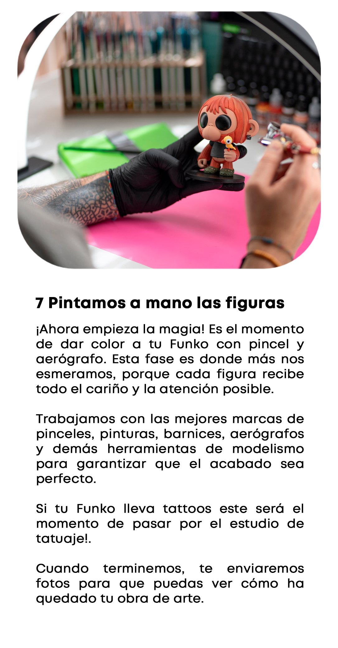 Proceso 7