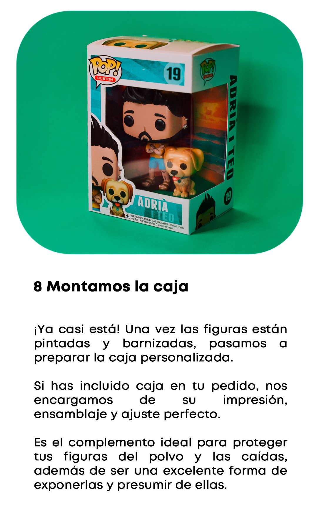 Proceso 8